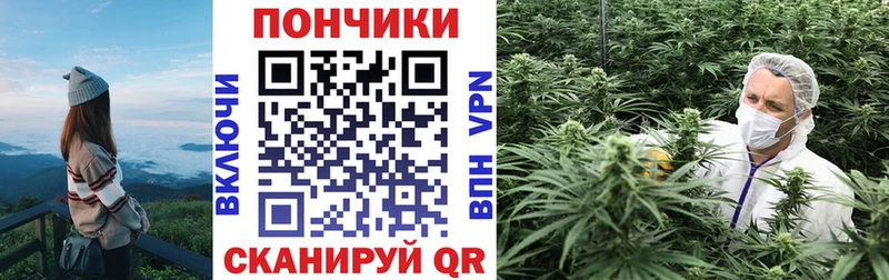 даркнет сайт Инсар Марихуана Amnesia